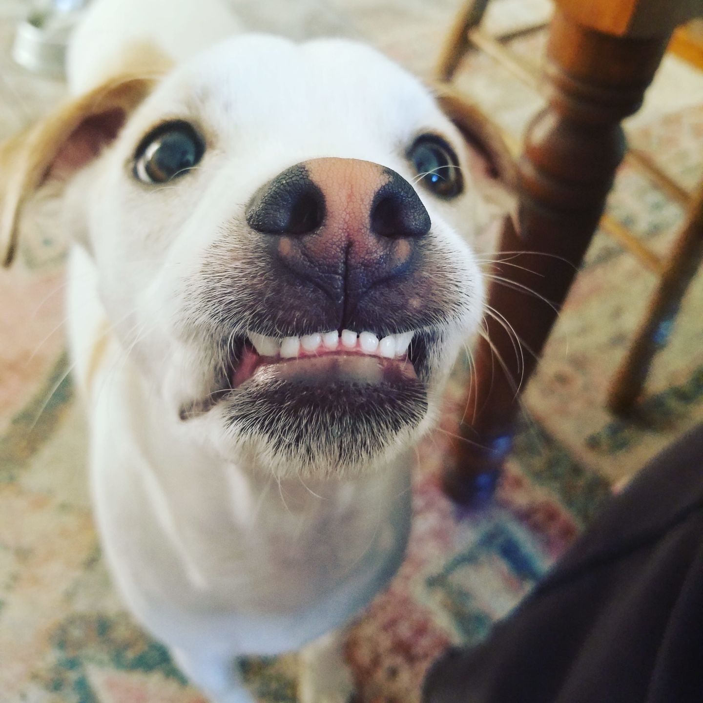 Duncan